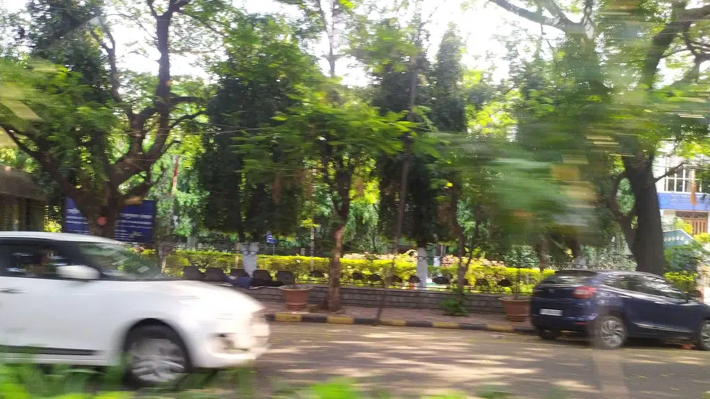 Central Research Institute of Unani Medicine