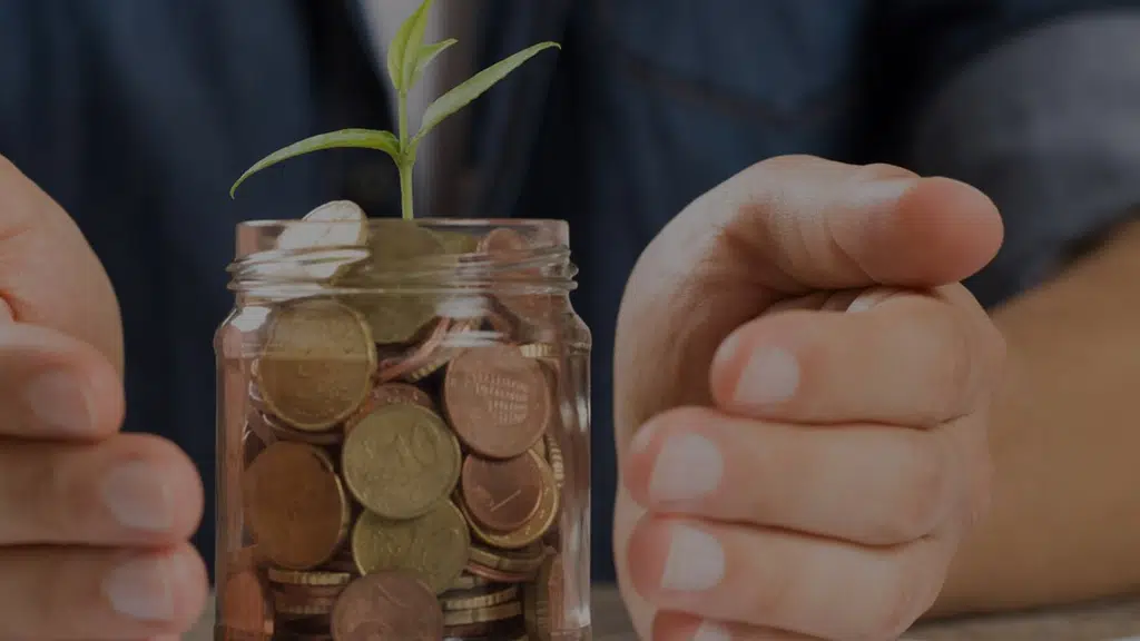 Moneyplant Investment Advisor