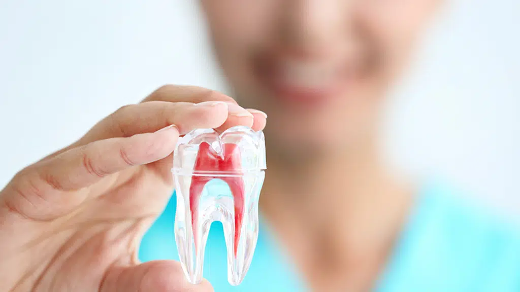 Stavan Dental Clinic
