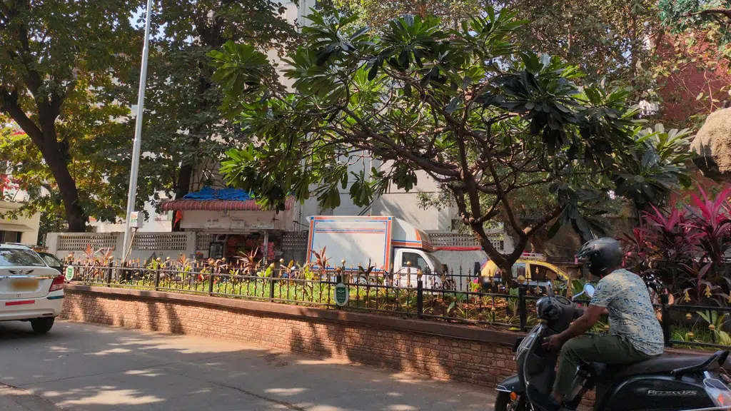 Podar Jumbo Kids
