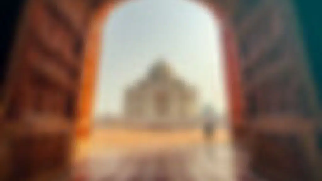 Cha india tours