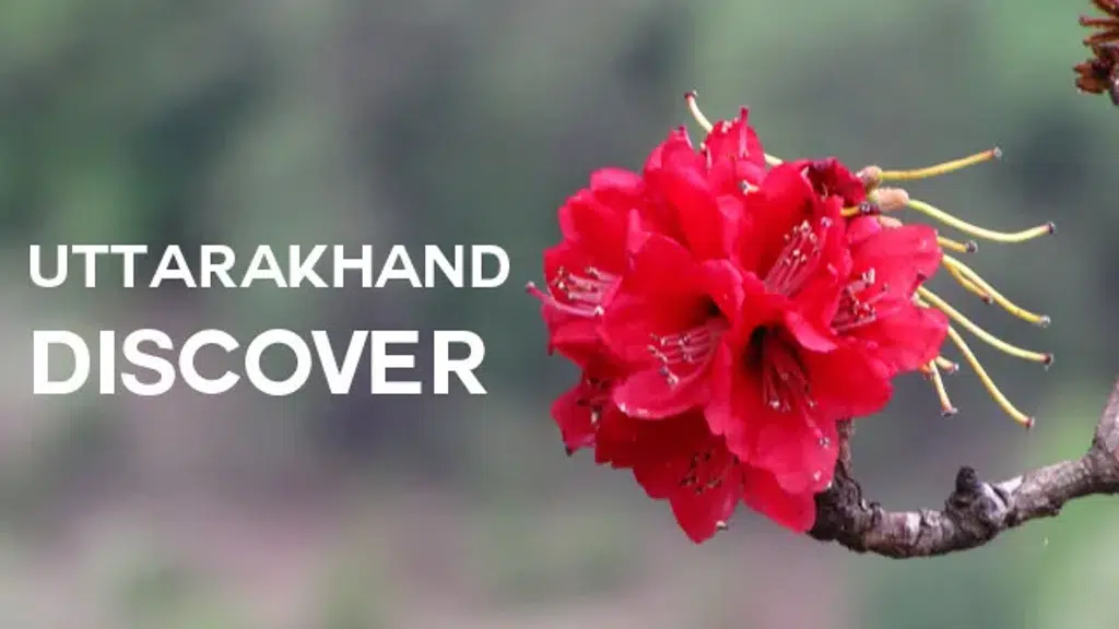 Uttarakhand by euttaranchal