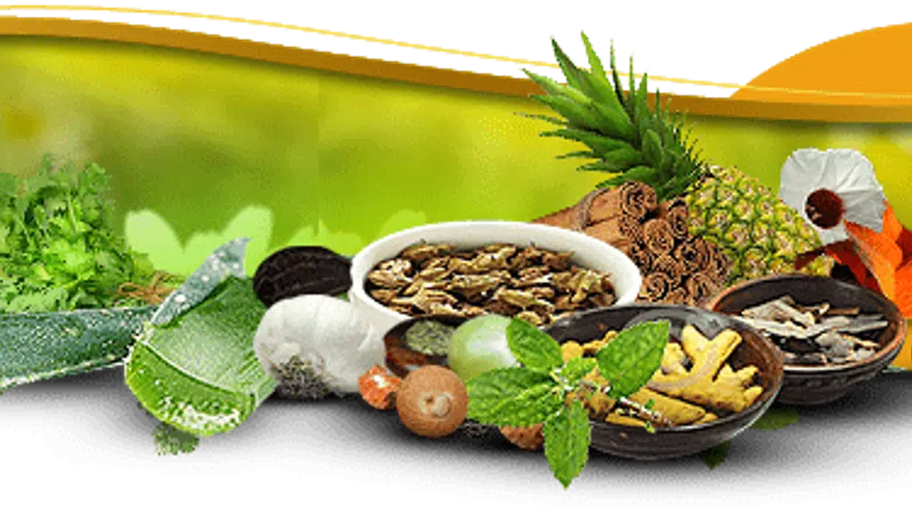 Lazon Ayurveda Skin Hair and Wellness Retreat