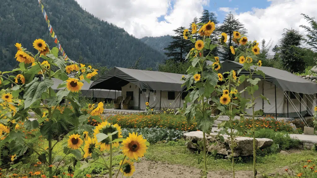 Kinner Camps