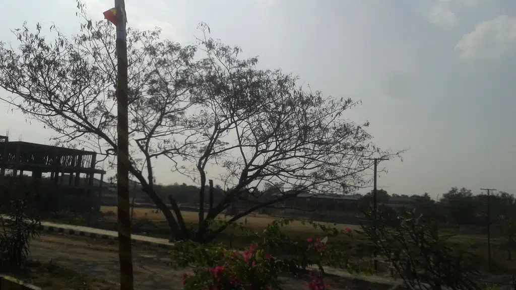 Bajaj Finance - Sri Tirumala Motors
