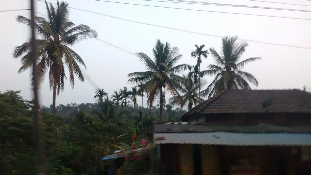 SONA TVS, sakleshpura