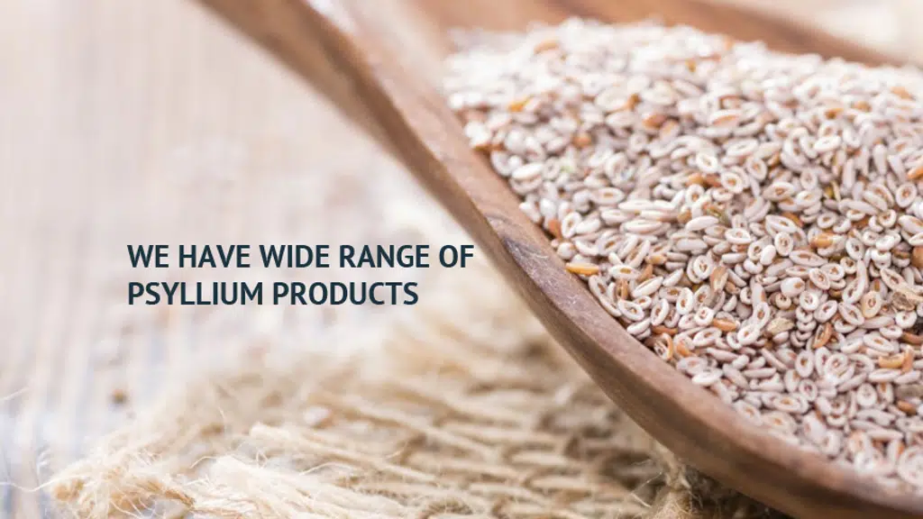 Rajganga Agro Product P Ltd