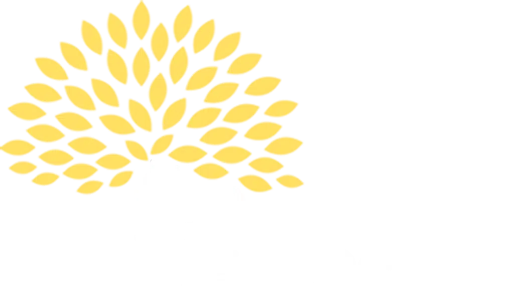 The Big Tree Delhi