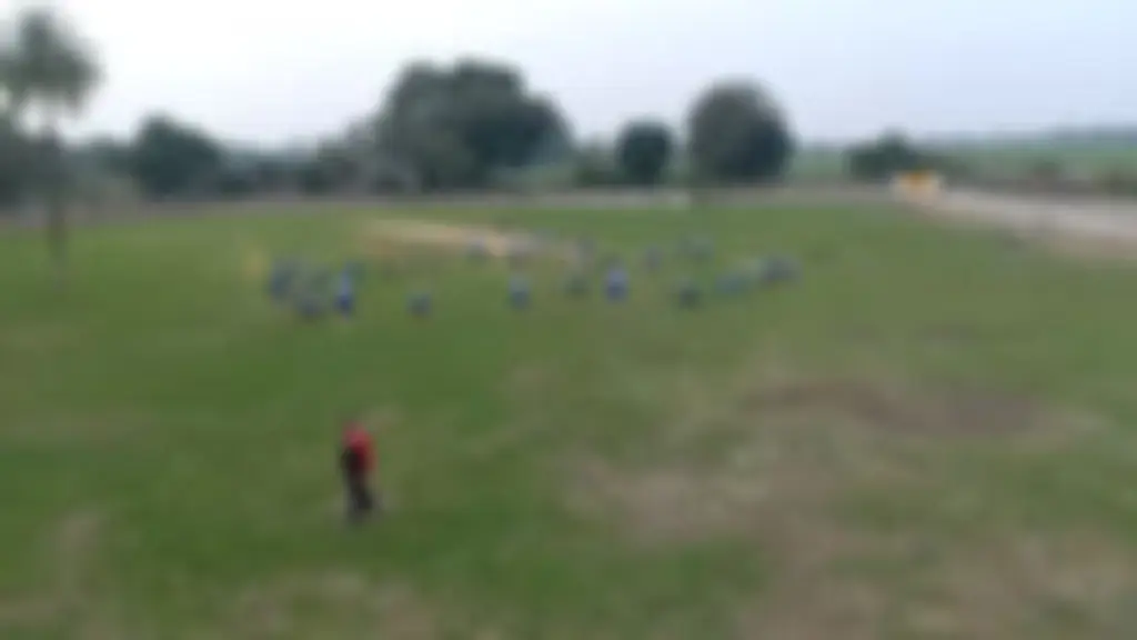 LB Shastri Cricket Shaala