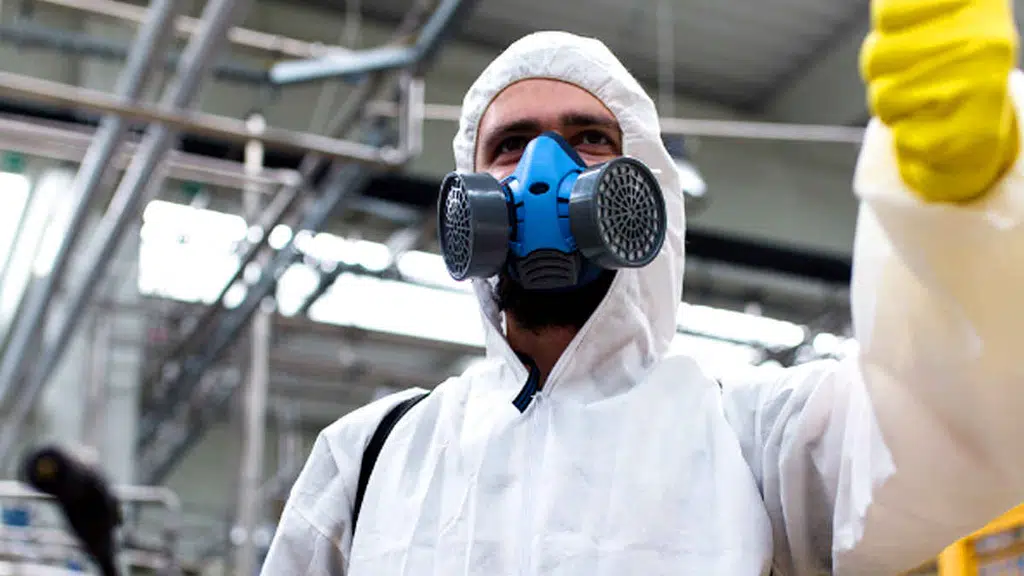 Indian Pest Management
